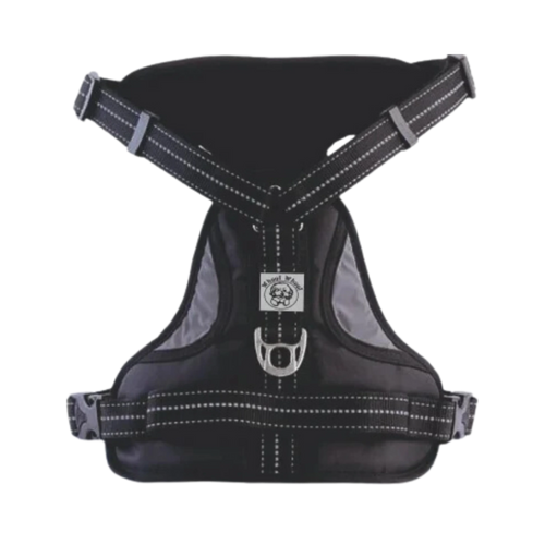 WW ALDO HARNESS BLACK (L)