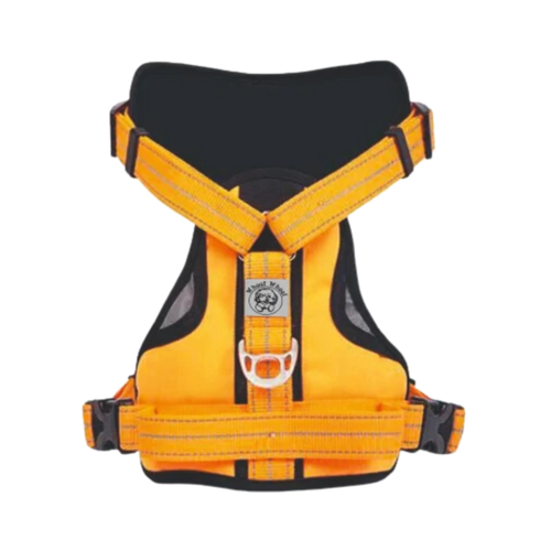 WW ALDO HARNESS ORANGE (M)