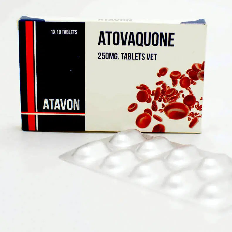 ATAVON TABLET 250MG