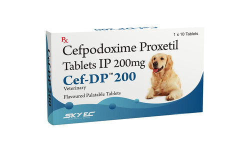 CEF - DP 200MG TABLET