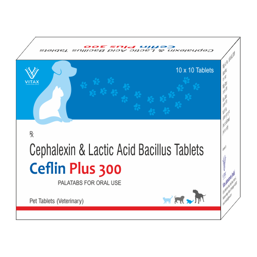 CEFLIN PLUS 300 TABLET