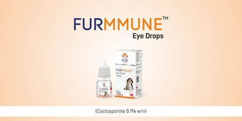 FURMMUNE EYE DROP