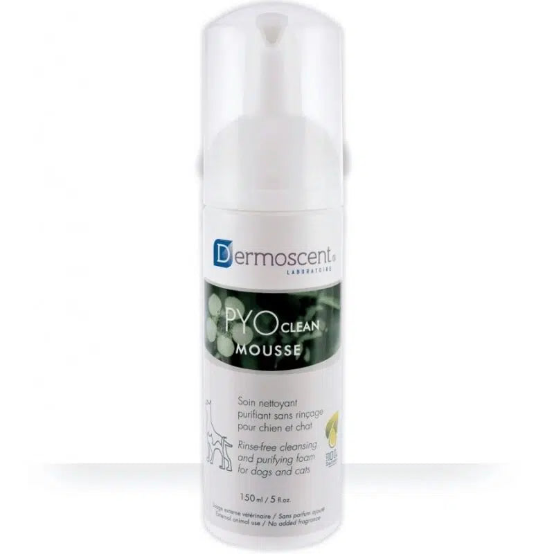 PYO CLEAN MOUSSE