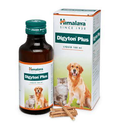 DIGYTON PLUS SYRUP