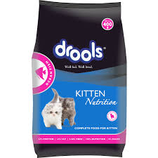 DROOLS KITTEN OCEAN FISH DRY FOOD