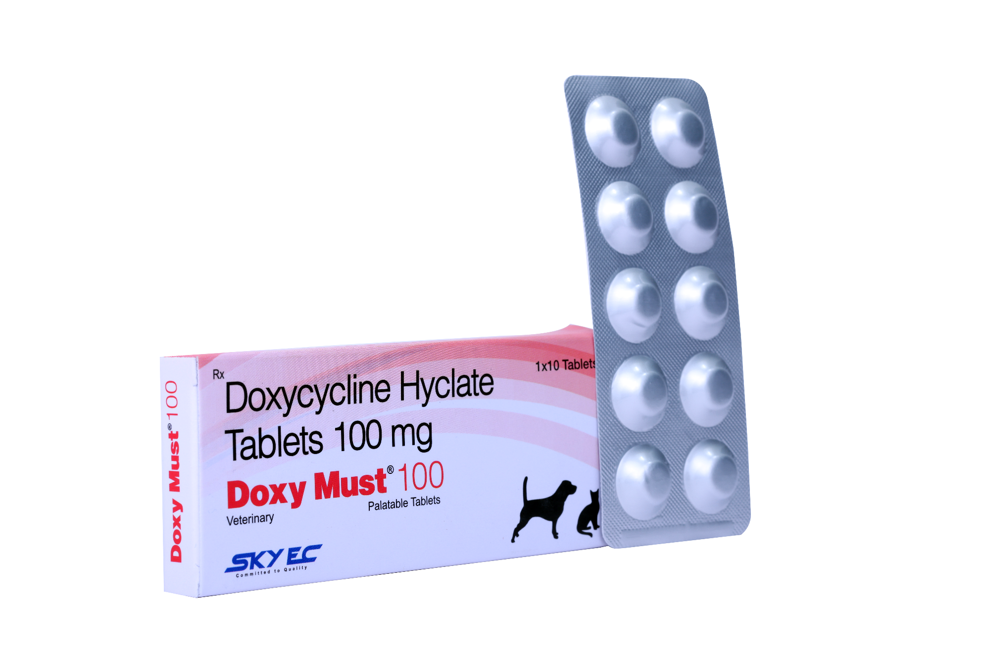 DOXY MUST 100 TABLET