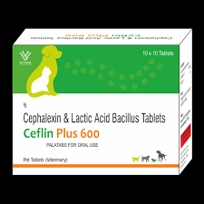 CEFLIN PLUS 600 TABLET