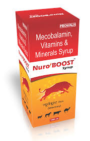 NEURO-BOOST SYRUP
