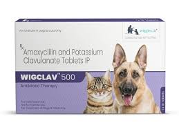 WIGCLAV 500MG TABLET