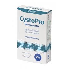CYSTOPRO CAPSULE