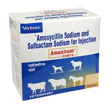 AMOXIRUM FORTE INJ 300MG
