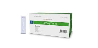 RAPID CDV AG TEST KIT