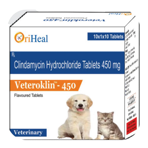 VETEROKLIN 450 TABLET