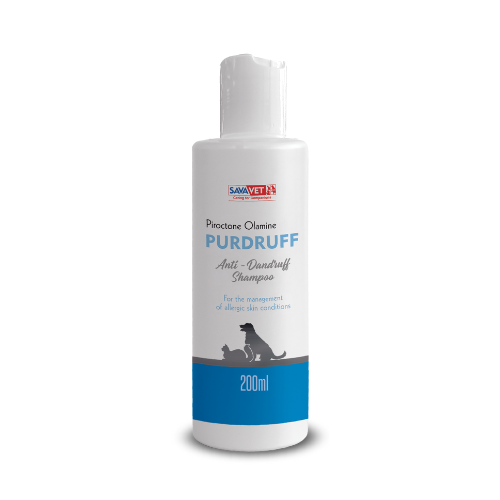 PURDRUFF SHAMPOO