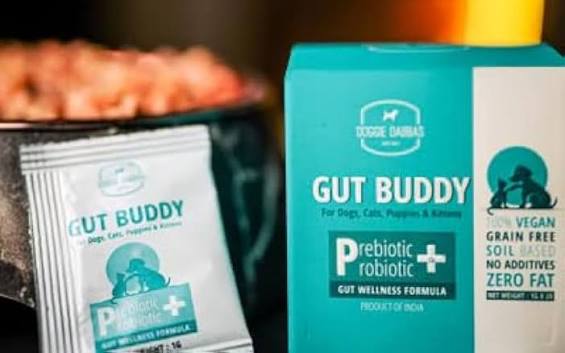 GUTBUDY POWDER
