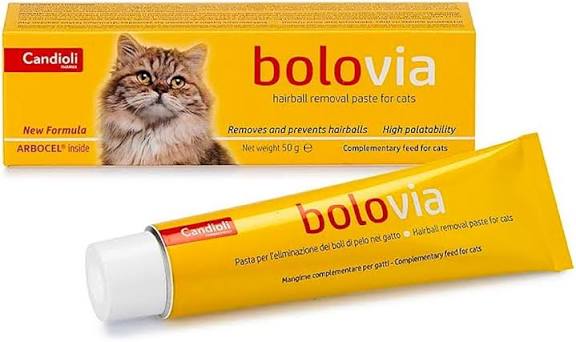 BOLO VIA CAT PASTE