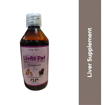 LIVFIT SYRUP (S)
