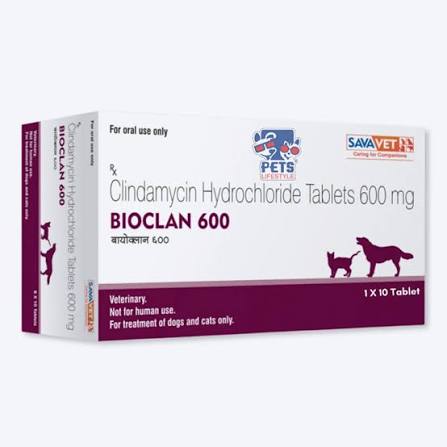 BIOCLAN 600 TABLET