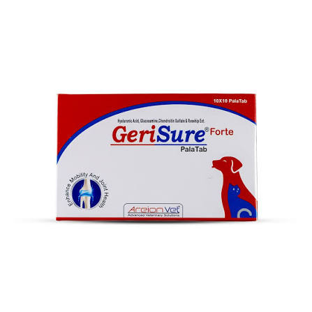 GERISURE FORTE TABLET
