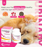 CYSTOCURE FORTE TABLET