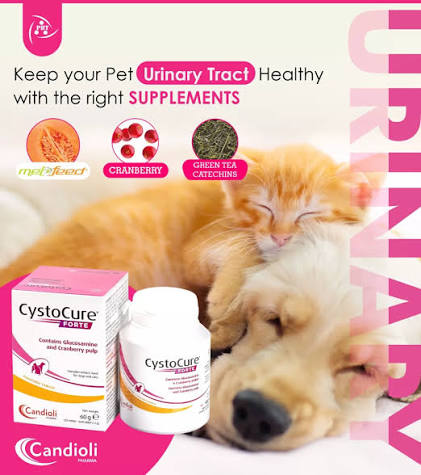 CYSTOCURE FORTE TABLET