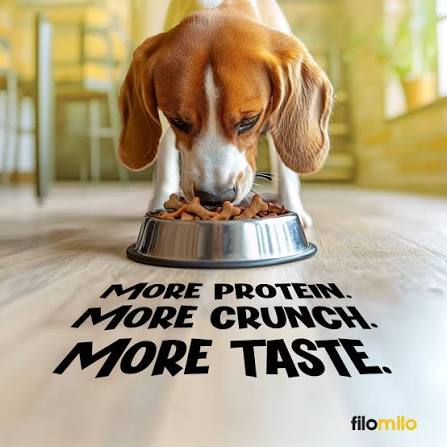 FILOMILO MILK & EGG BISCUIT (L)