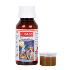 GUTAPP SYRUP (S)