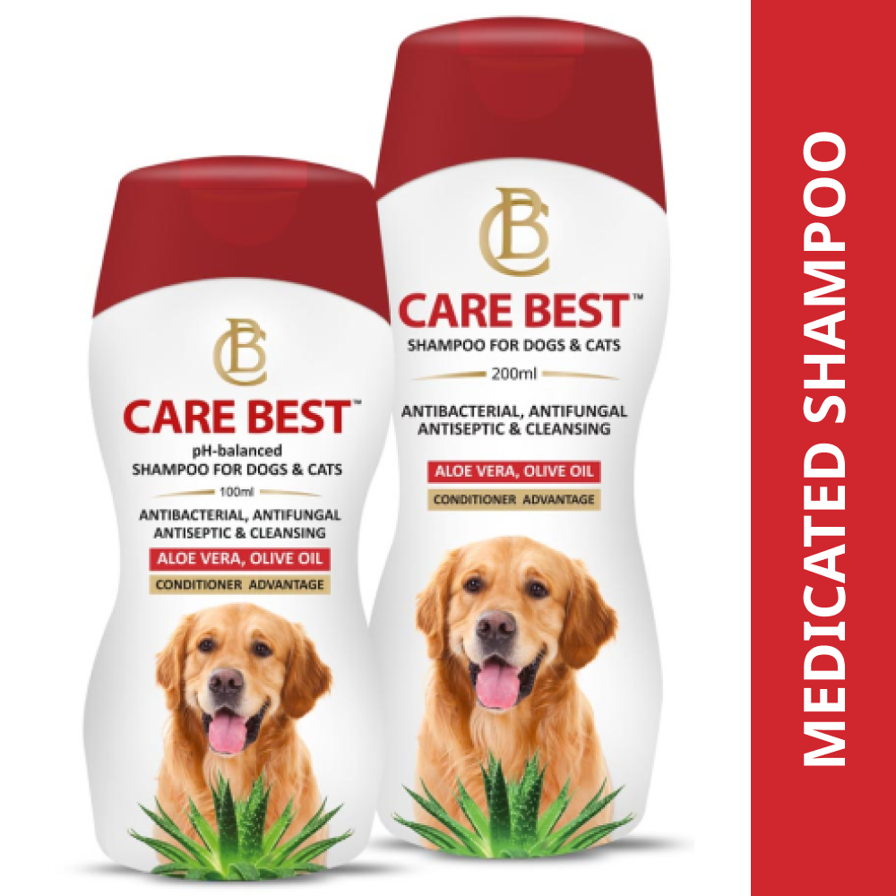 CARE BEST SHAMPOO