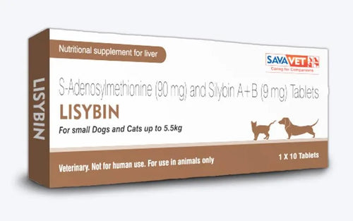 LISYBIN SMALL TABLET