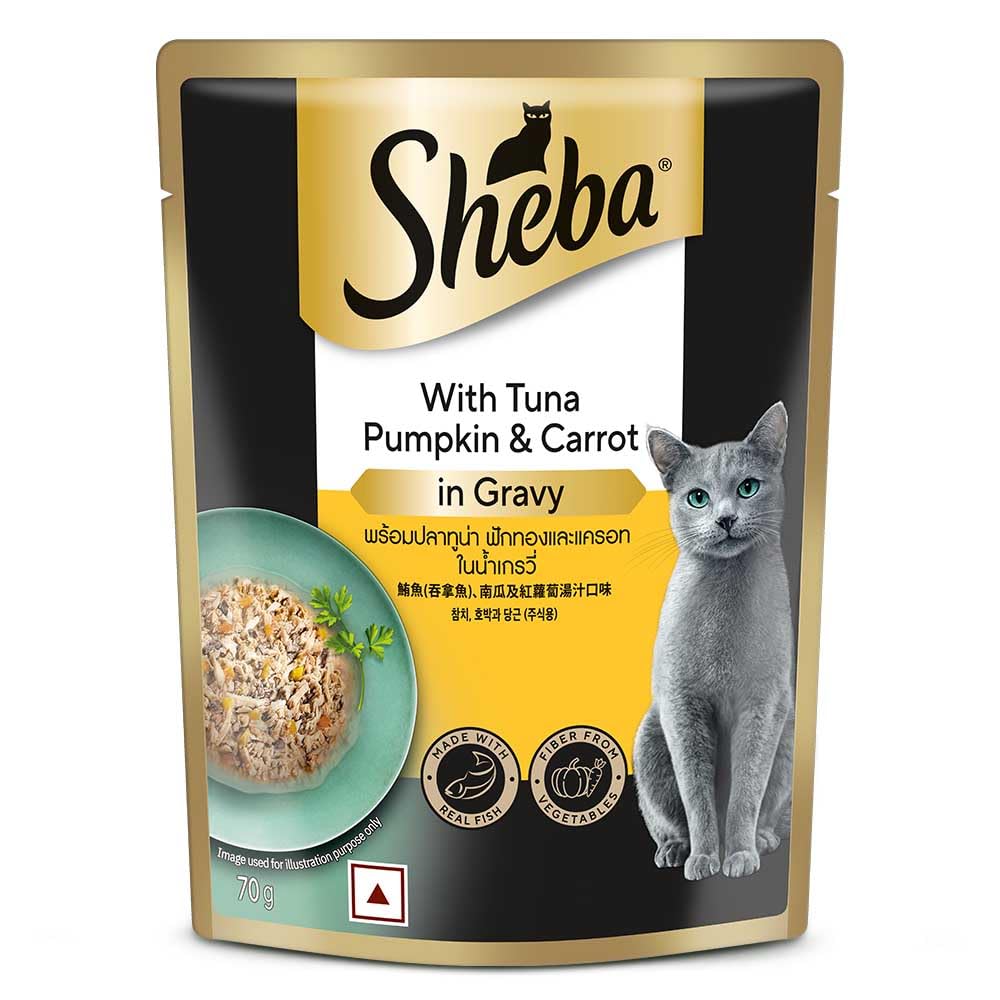 SHEBA TUN PUM & CAR GRAVY