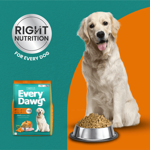 WIGGLES EVERYDAWG ADULT DRY FOOD (S)