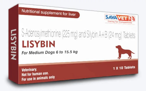 LISYBIN MEDIUM TABLET