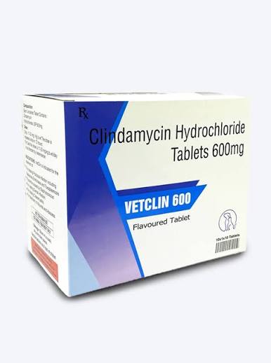 VETCLIN 600MG TABLET