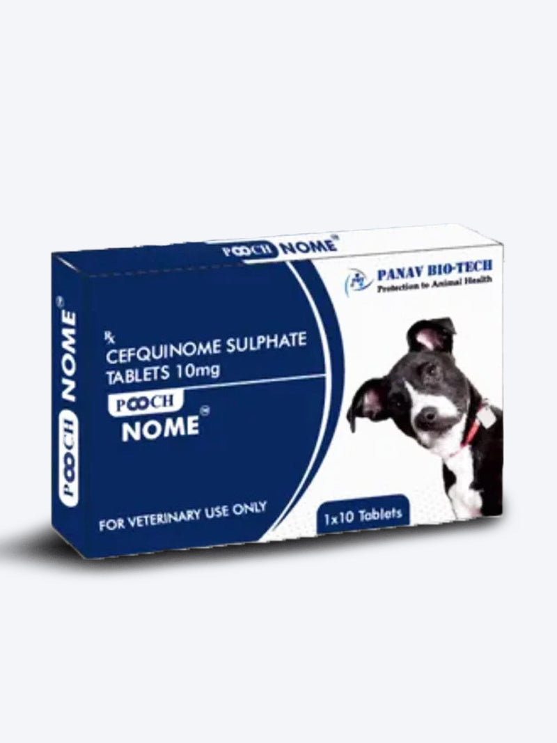 POOCH NOME TABLET