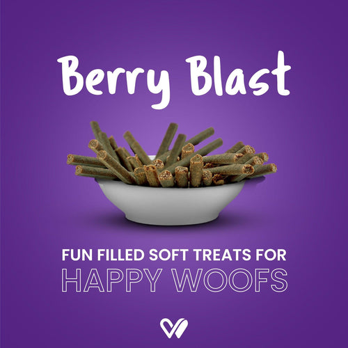 WIGGLES BERRY-BLAST TREAT