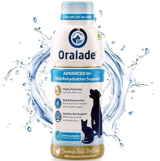 ORALADE GI SUPPORT SYRUP
