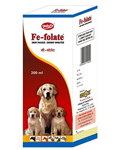 FE FOLATE SYRUP