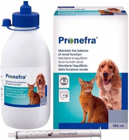 PRONEFRA SYRUP (L)