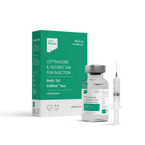 CEFSHOT TAZO 562.50MG INJECTION