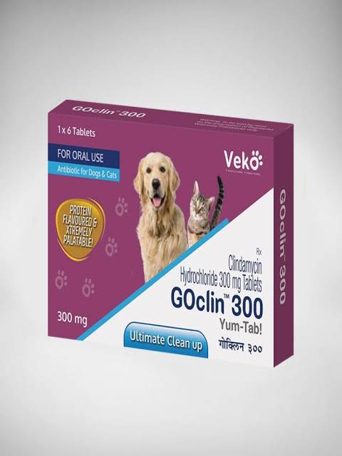 GOCLIN 300 TABLET