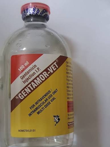 GENTAMOR INJ
