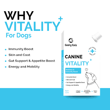 GOOFY TAILS CANINE VITALITY LIQUID