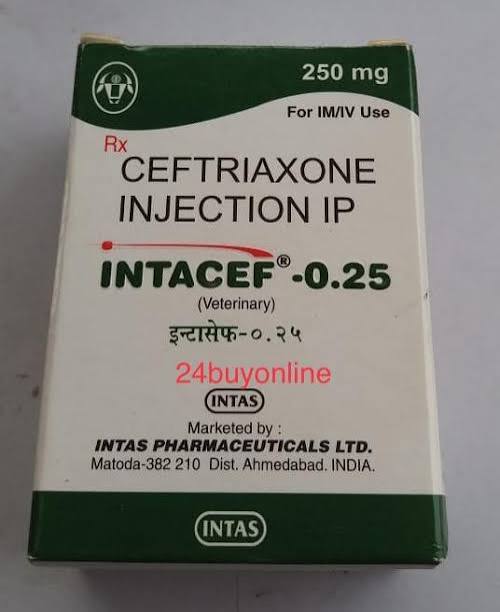 INTACEF 0.25MG INJ