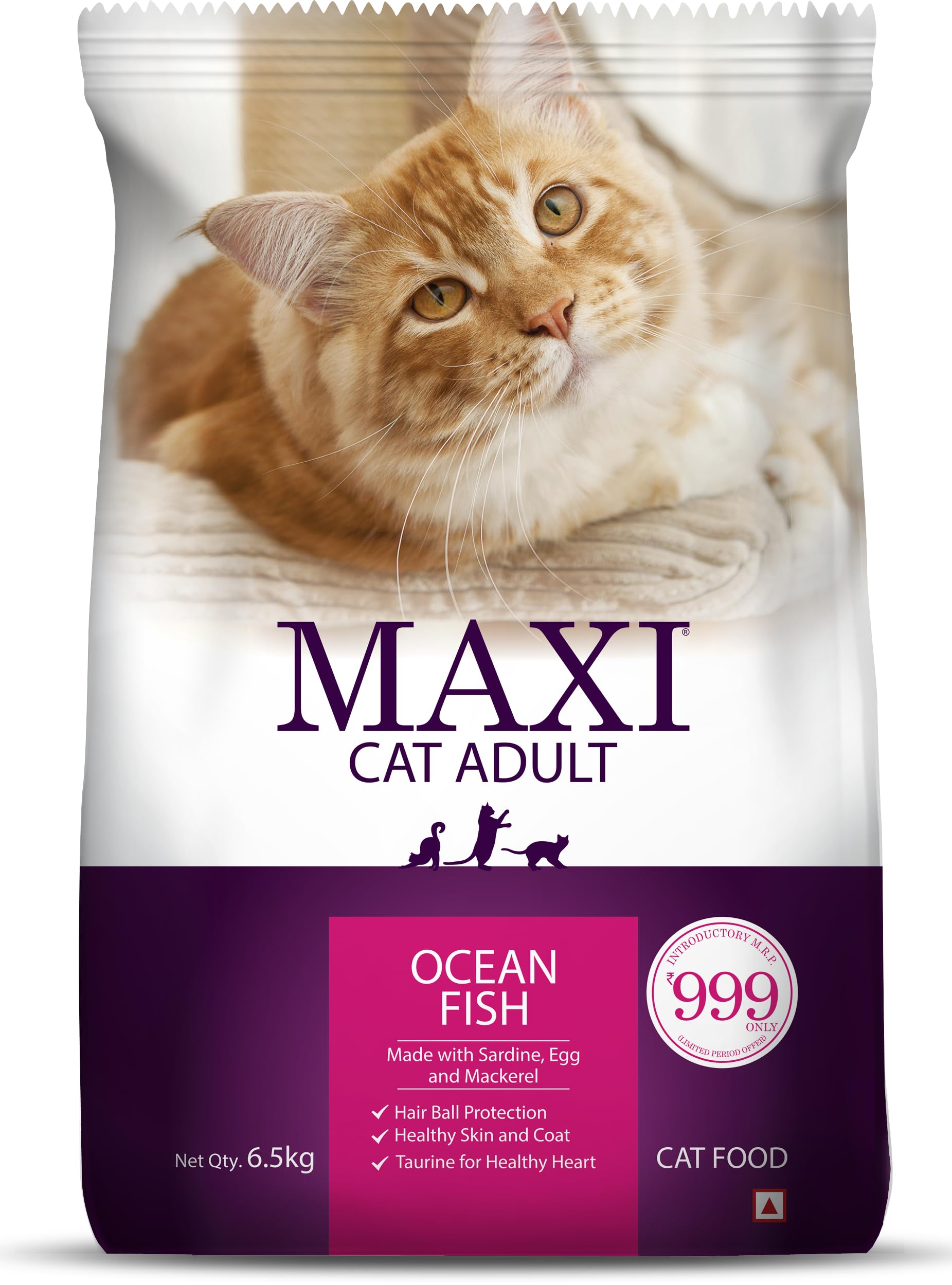 MAXI CAT ADULT OCEAN FISH