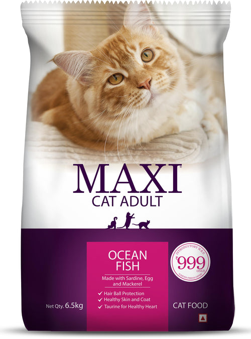 MAXI CAT ADULT OCEAN FISH