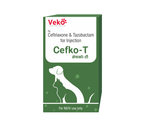 CEFKO T 562.5MG INJ