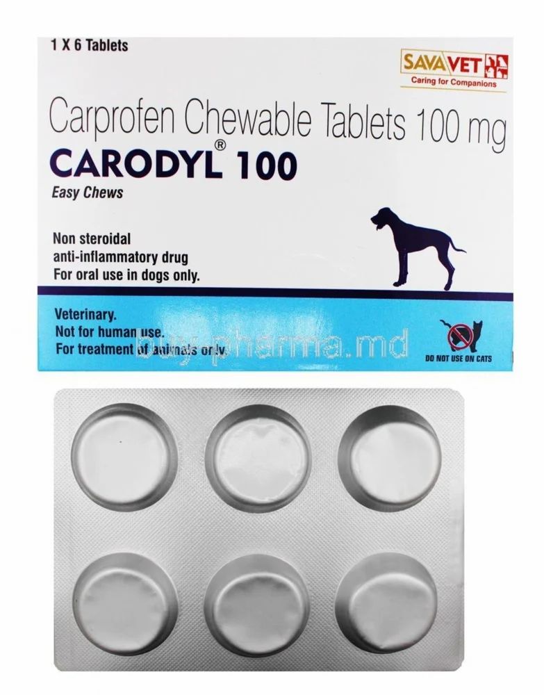 CARODYL 100 TABLET (M)