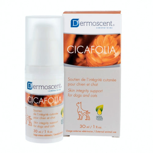 CICAFOLIA SPRAY