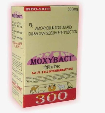 Moxybact Inj