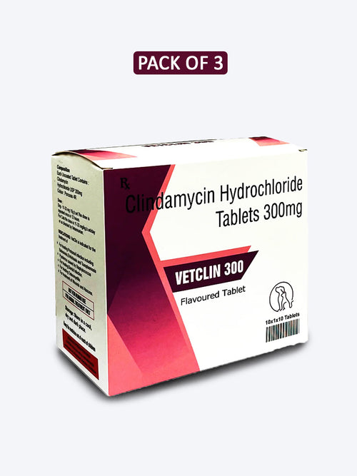 VETCLIN 300MG TABLET